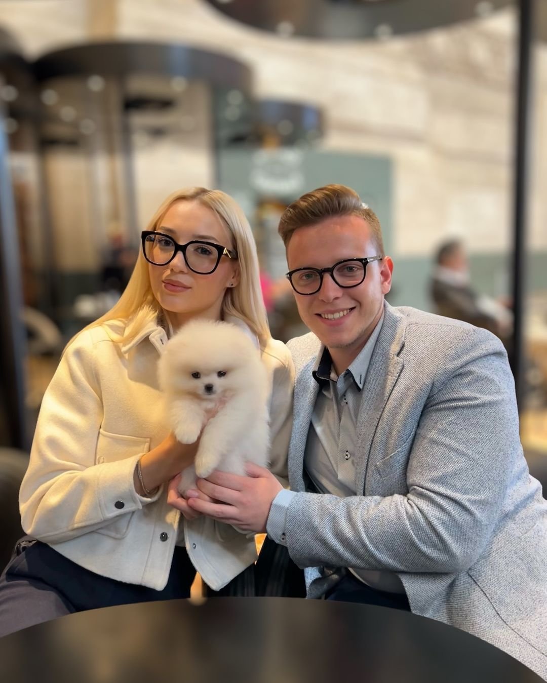 Teacup Pomeranians for Sale
