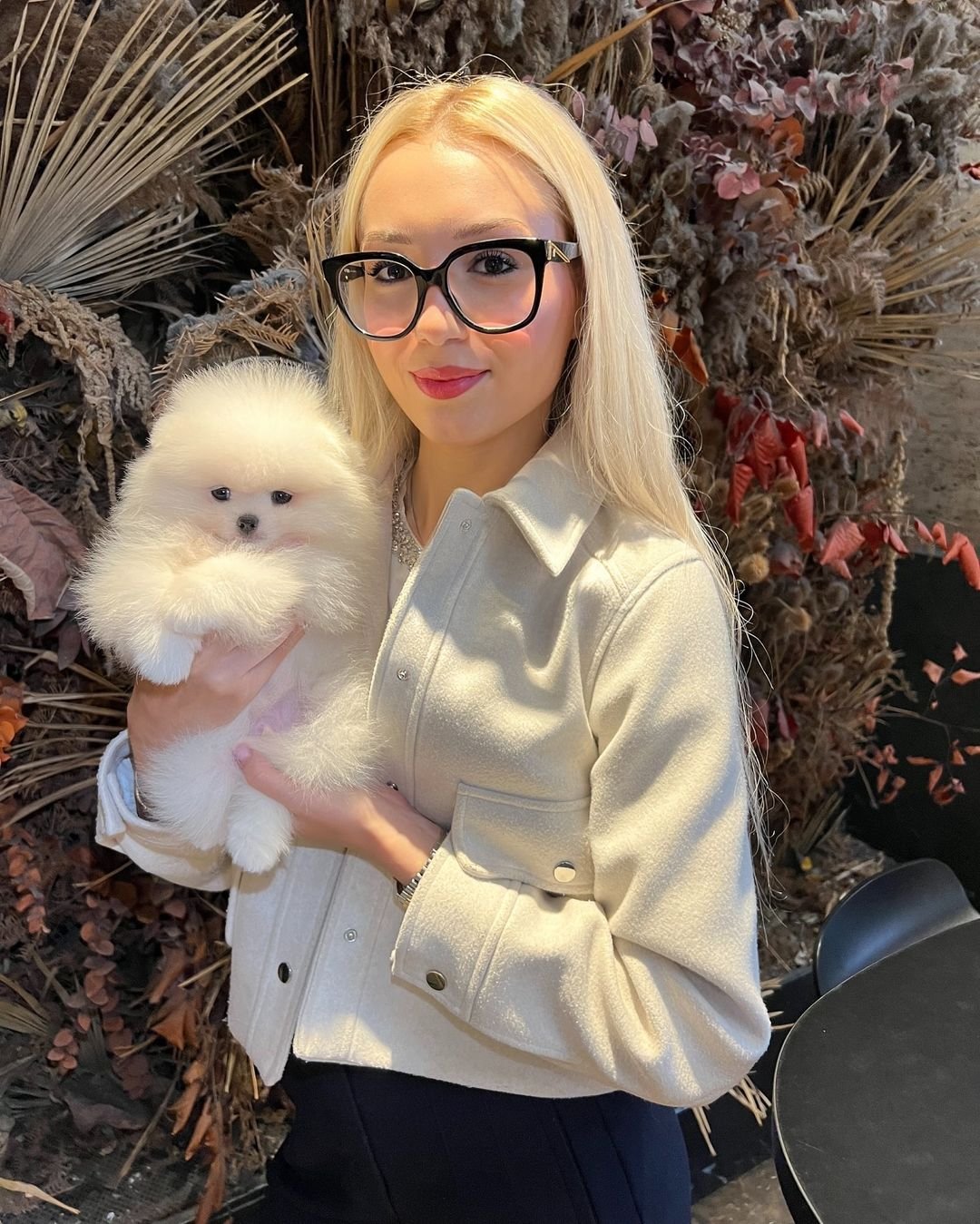 Pomeranian Puppy Uglies: Top 4 Locations