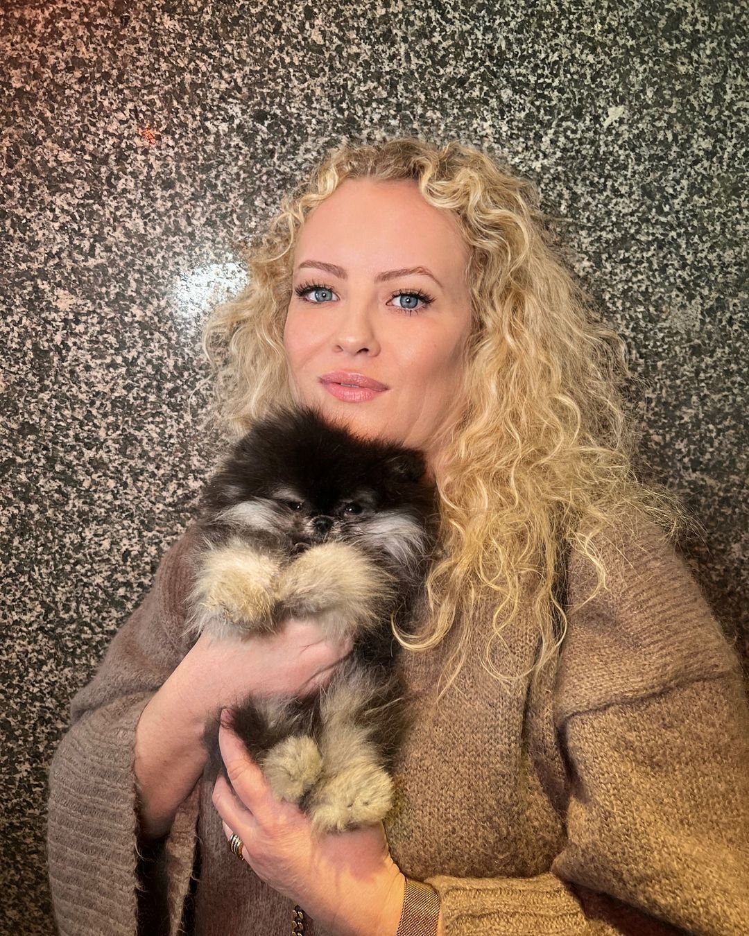 Pomeranian Puppies for Sale in Arkansas