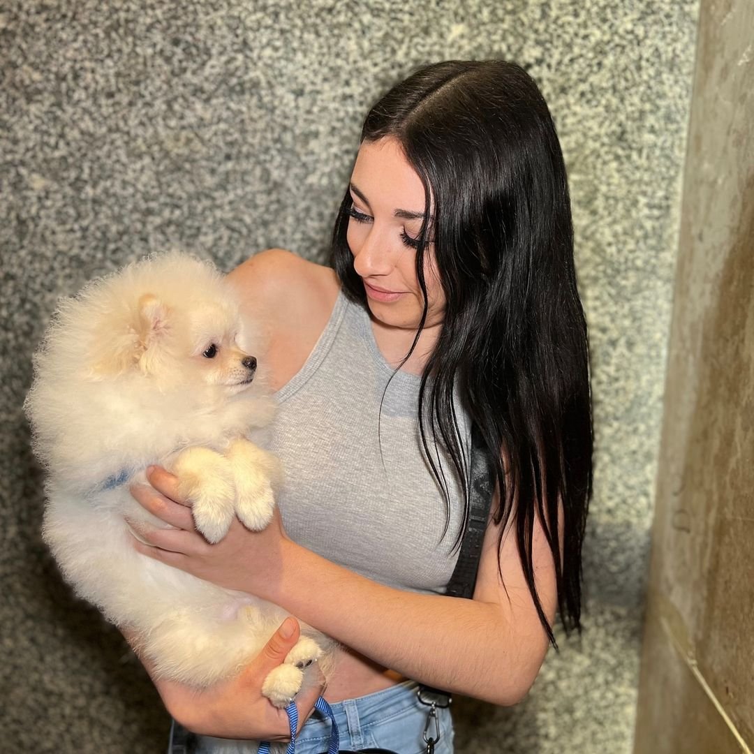 Pomeranian Puppies for Sale in Las Vegas NV: Find Your Perfect Companion