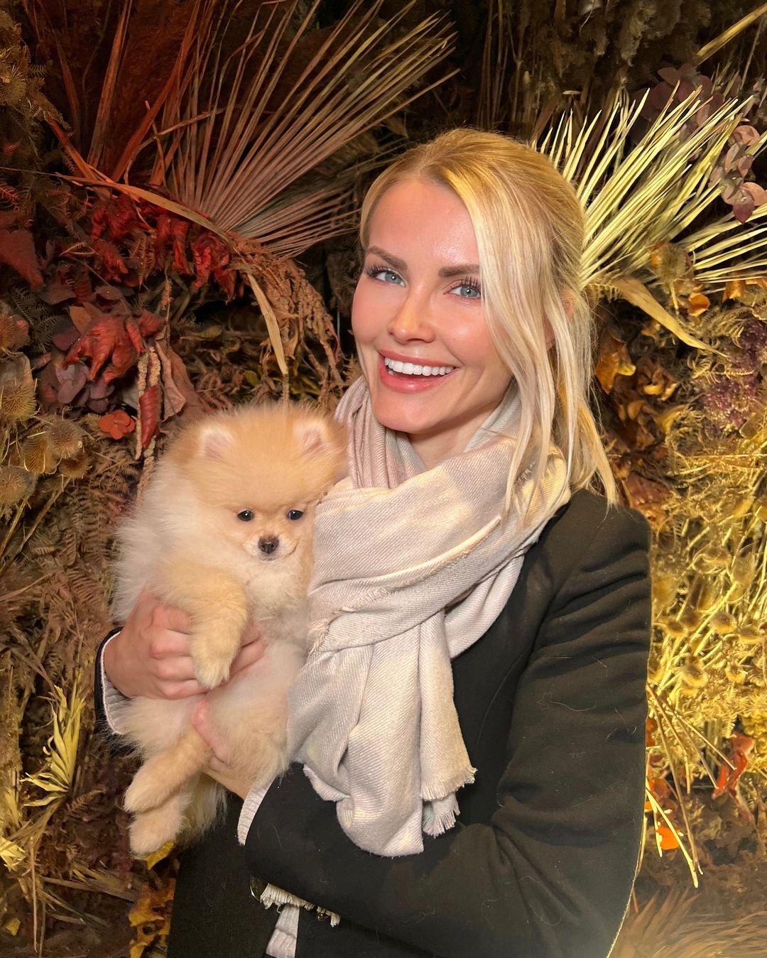 How Much Is a Pomeranian: Your Complete Guide to Pricing