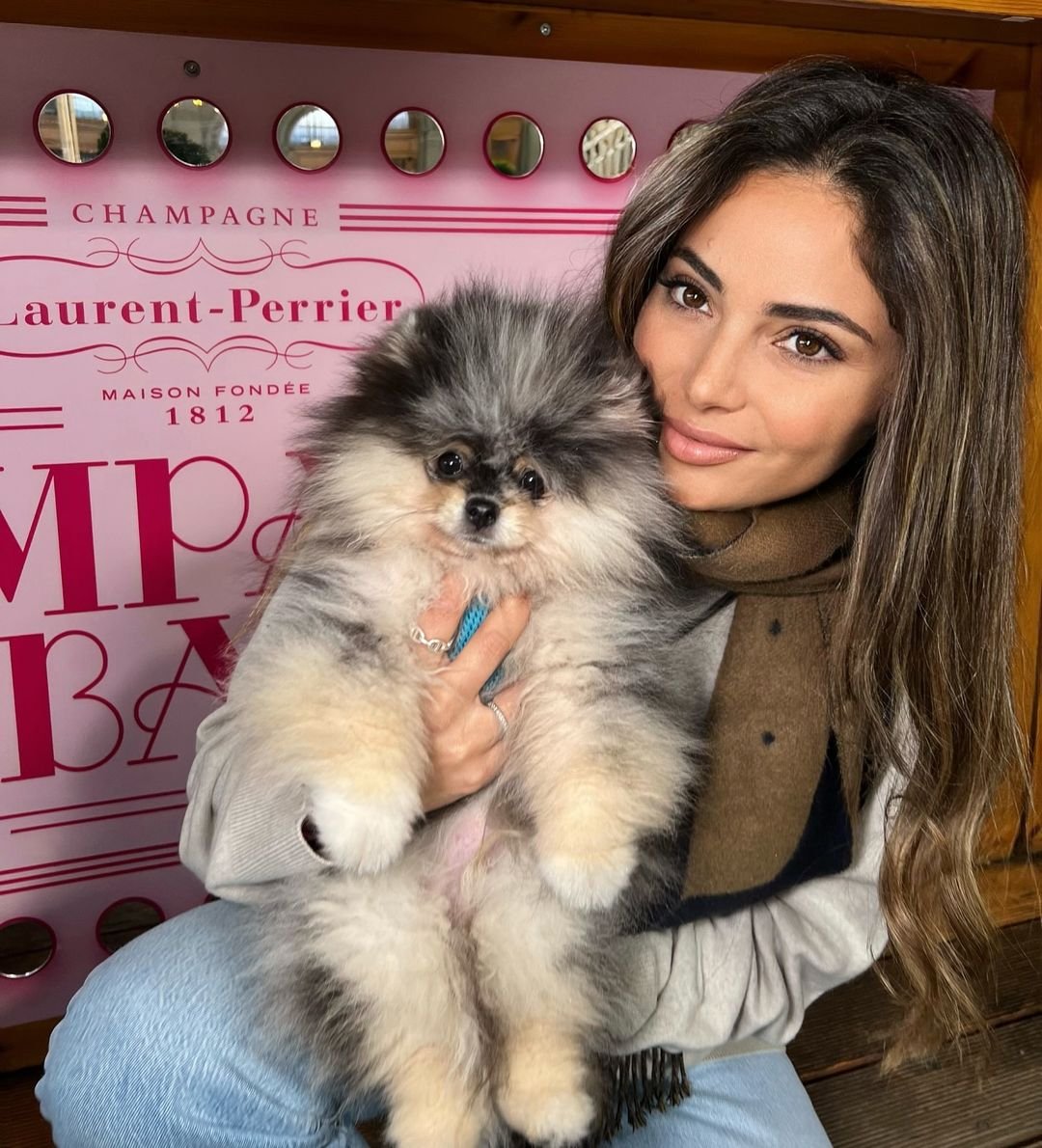 Pom Puppies Near Me: Your Guide to Finding Your Perfect Companion