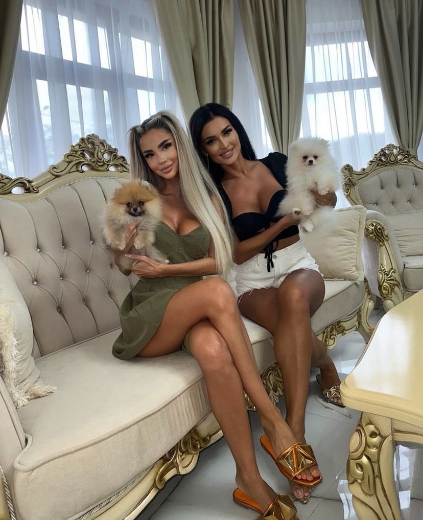 Teacup Pomeranian White for Sale in Utah: Top 5 Locations