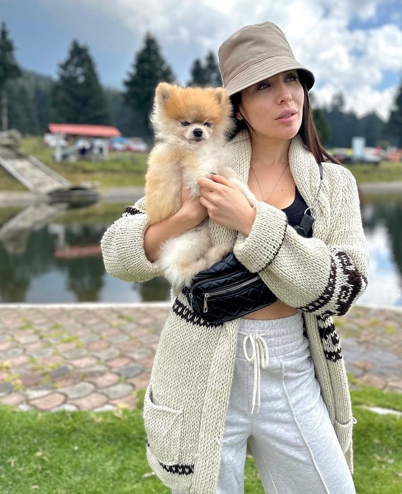 Teacup Pomeranian Puppies for Sale in Mississippi: Top 6 Locations