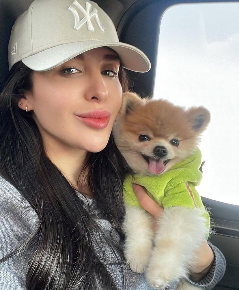 Teacup Pomeranian Breeders in Kentucky