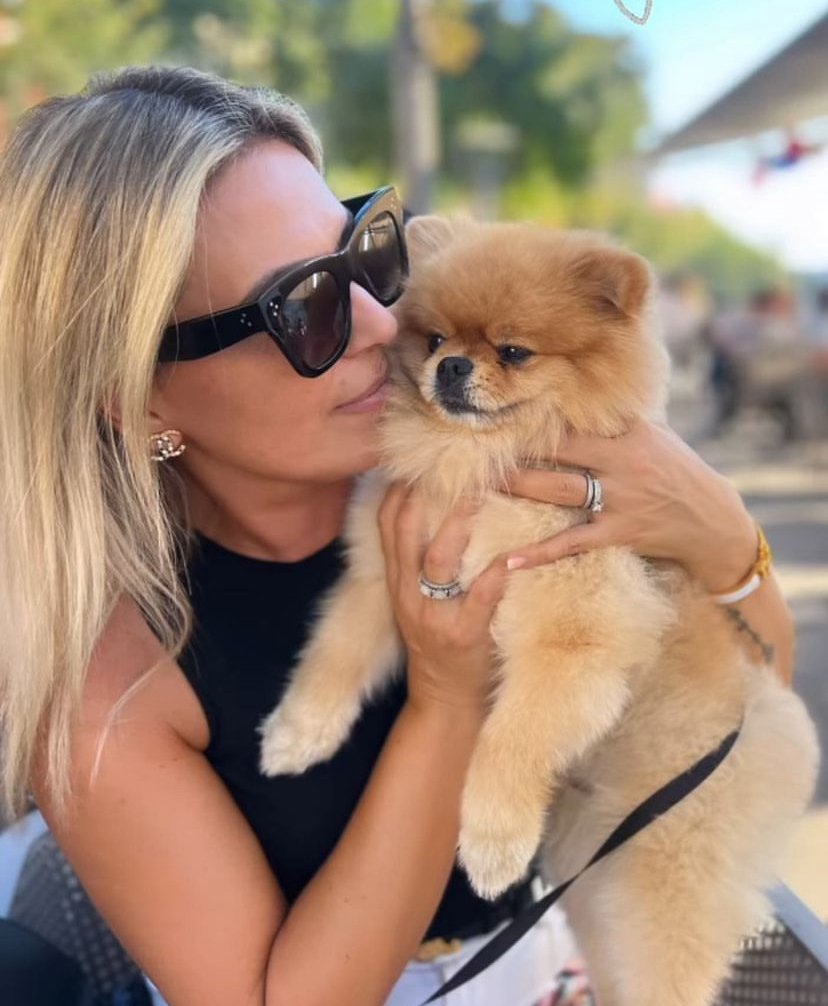Shih Tzu Pomeranian Mix Puppies for Sale: Your Complete Guide