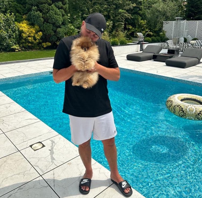 Pomchi Puppy for Sale Near Me: Top 4 Locations