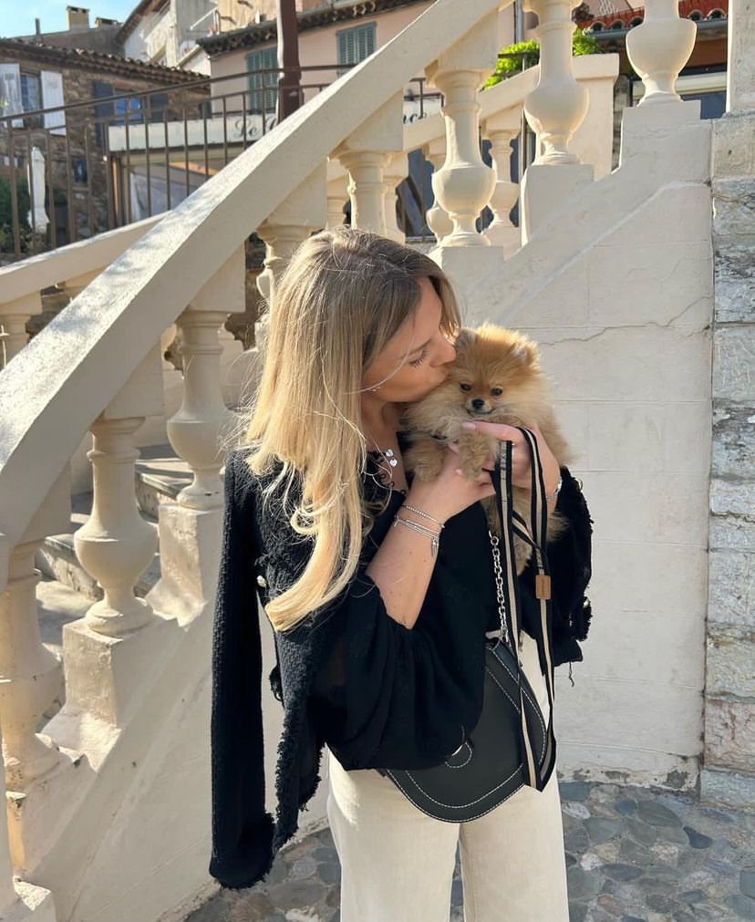 What makes a Pomeranian breeder reliable in Tennessee?