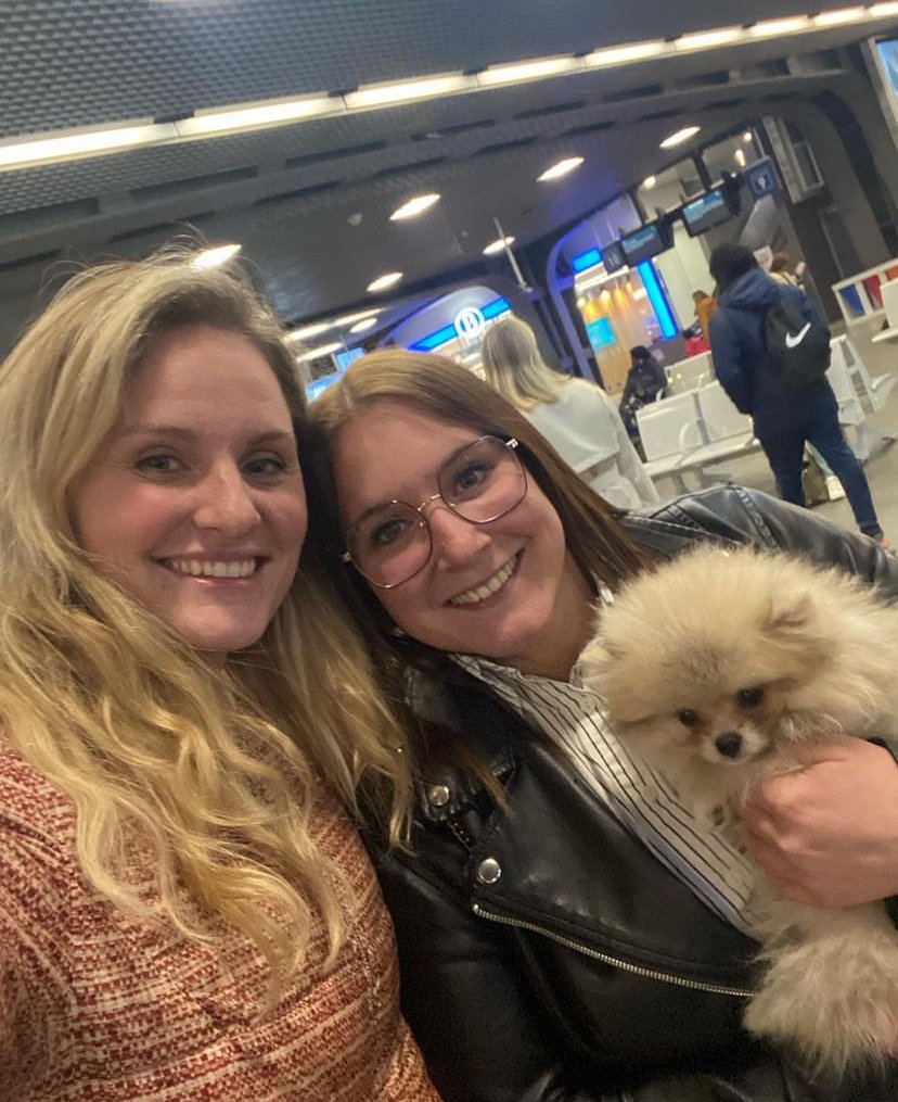 Cute Pomeranian Puppies for Sale: Your Ultimate Guide to Finding the Perfect Companion