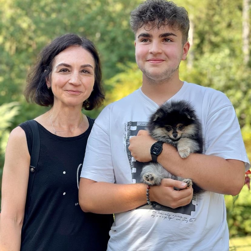 Pomeranian Puppies for Sale in Maryland