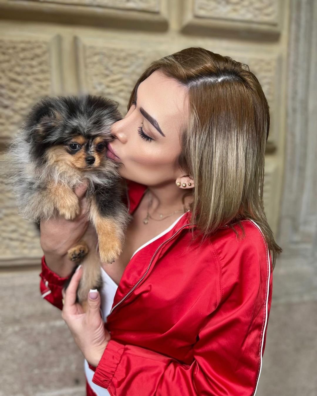 What should I consider when looking for Miniature Pomeranian breeders in Idaho?