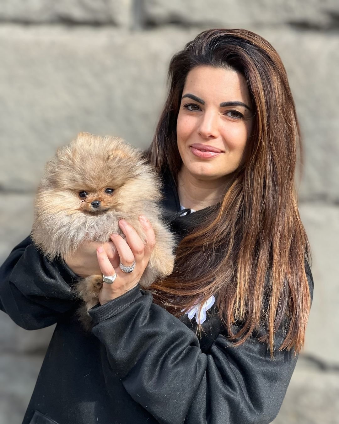 What should I consider when looking for Miniature Pomeranian breeders in Arkansas?